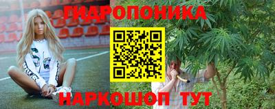 мдпв Пушкино
