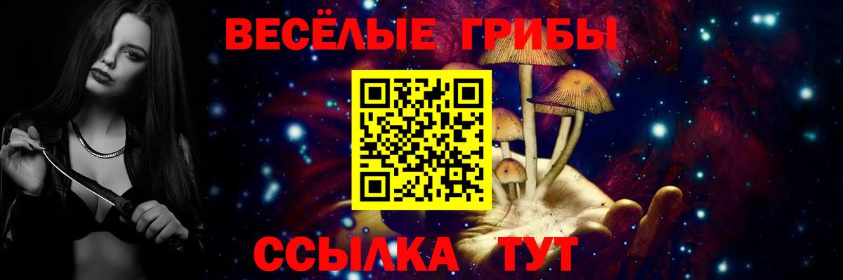 Галлюциногенные грибы Psilocybe  наркота  Вход с VPN  Ахтубинск  Галлюциногенные грибы мицелий 
