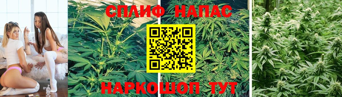 Бошки марихуана тримм Ахтубинск